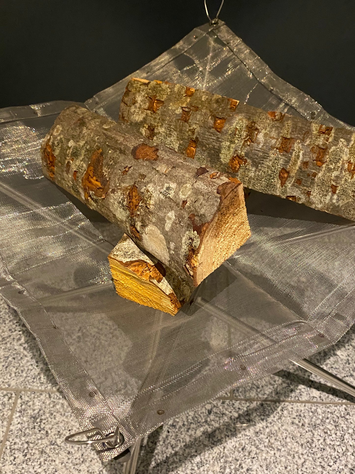 Portable Feuerschale to go! Feuernetz, schnell aufgebaut & leicht zu reinigen zum sensationellen Preis